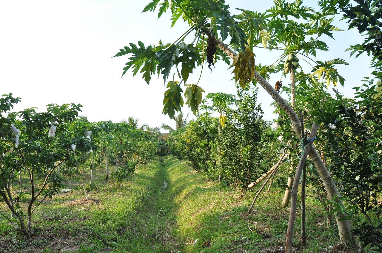 Orchard Fruit Farm Bungalow Phu Quoc Dış mekan fotoğraf