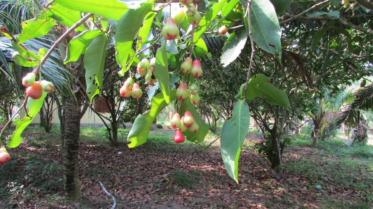 Orchard Fruit Farm Bungalow Phu Quoc Dış mekan fotoğraf
