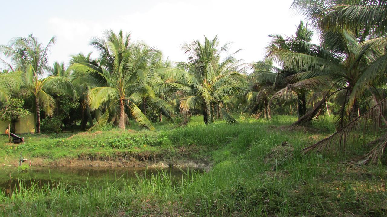 Orchard Fruit Farm Bungalow Phu Quoc Dış mekan fotoğraf