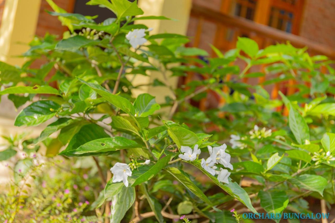 Orchard Fruit Farm Bungalow Phu Quoc Dış mekan fotoğraf