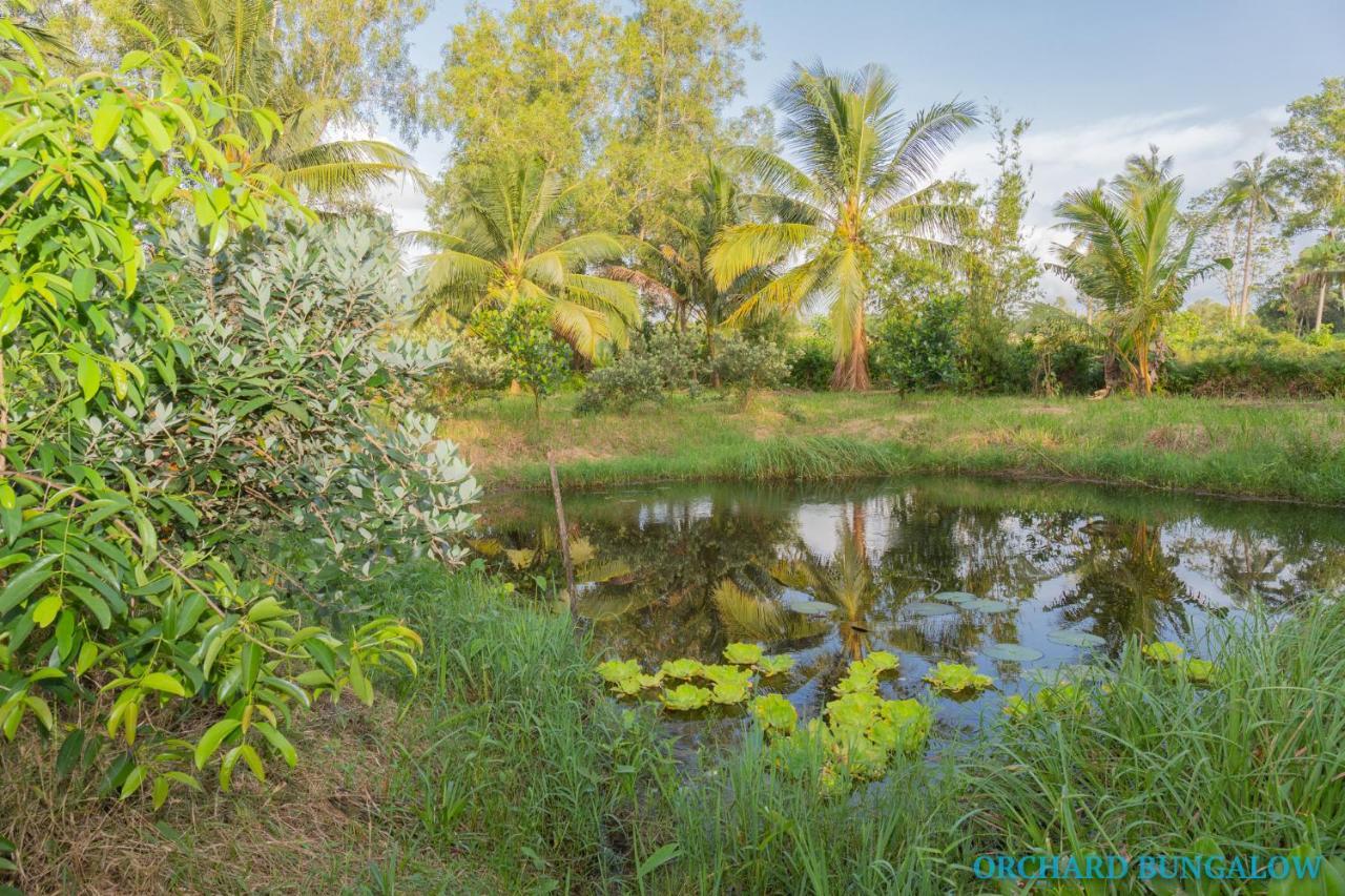 Orchard Fruit Farm Bungalow Phu Quoc Dış mekan fotoğraf