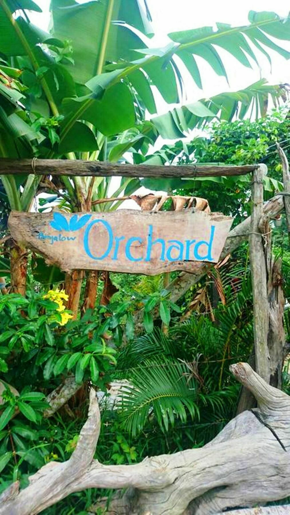 Orchard Fruit Farm Bungalow Phu Quoc Dış mekan fotoğraf