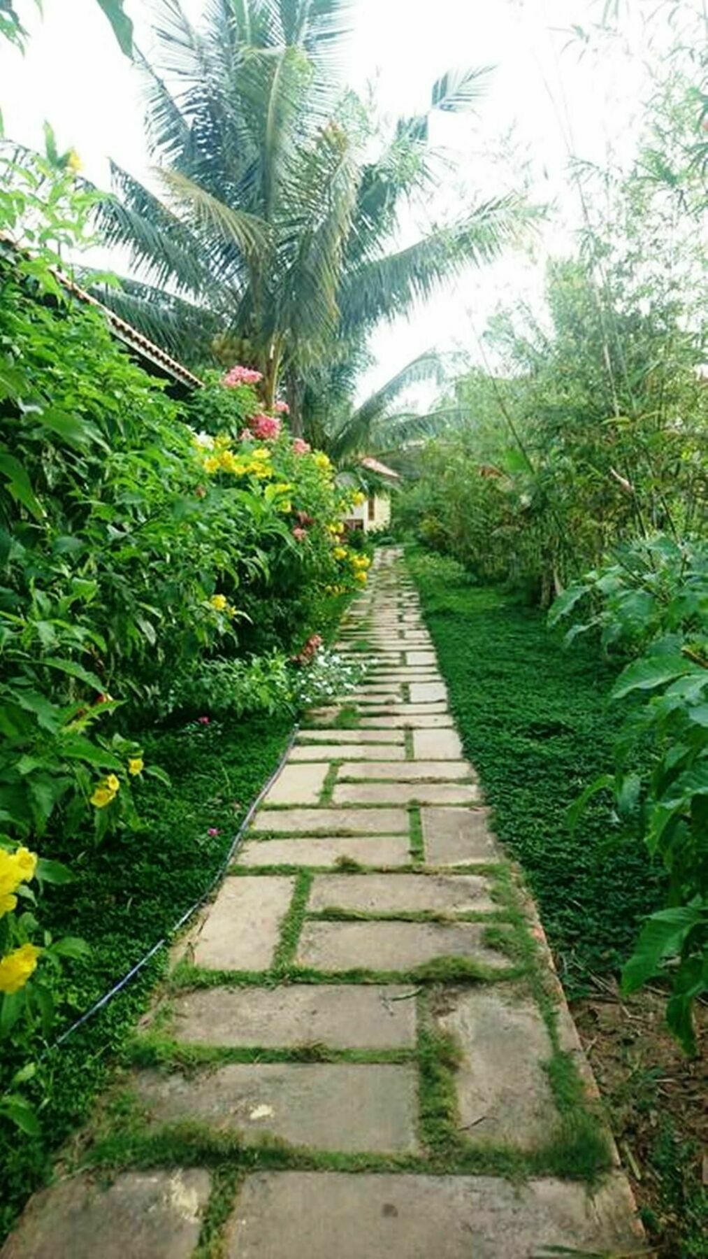 Orchard Fruit Farm Bungalow Phu Quoc Dış mekan fotoğraf